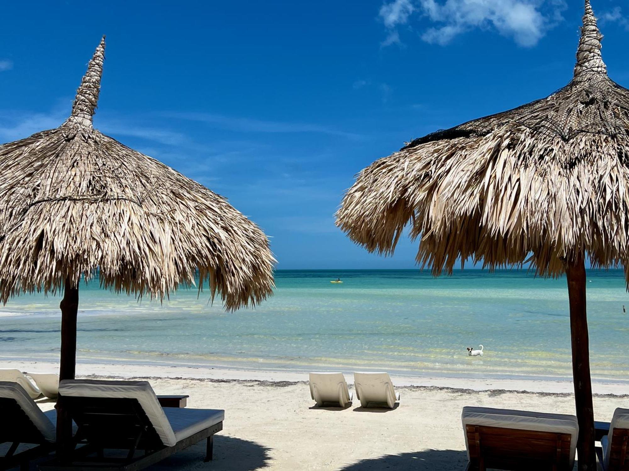 Hotel Palapas Del Sol Isla Holbox Exterior foto